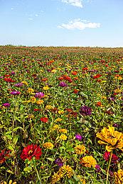 《消逝的光芒2》多人模式能让玩家投入上千个小时